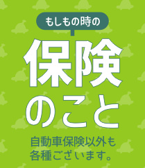 自動車保険